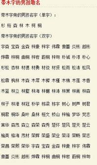 名字有木|带木字高雅的男孩名字大全，100个优雅寓意好听的名。